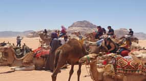 Vanuit Amman/vliegveld: Speciale privétour Jordanië van 3 nachten