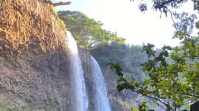 Kauai East Side and North Shore: Waterfalls & Beaches Tour