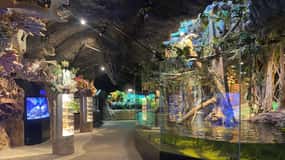 Stoccolma: Biglietto d'ingresso per l'acquario di Skansen