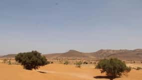 Agadir: Desierto del Sáhara y Medina de Tiznit Visita Privada y Almuerzo