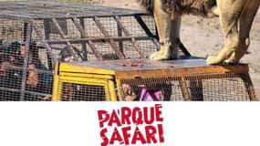 Santiago, Parc Safari