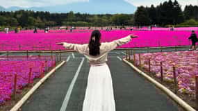 Tokyo: Private Day Tour to Mount Fuji with English Driver