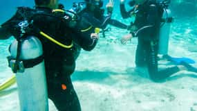 Discover Scuba Diving in Cozumel 2 Tanks