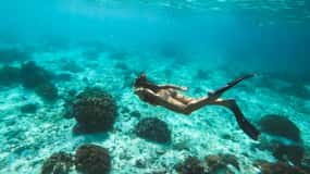 Curaçao: boottocht met snorkelen en open bar