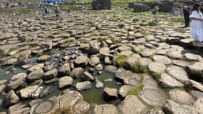 From Belfast: Giants Causeway and Game of Thrones Private …