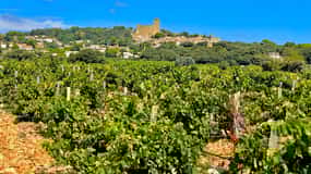 Wine Tour: On the Way to Chateauneuf du Pape