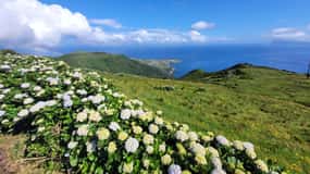 Full Tour - Discover Flores - the Island of Your Dreams