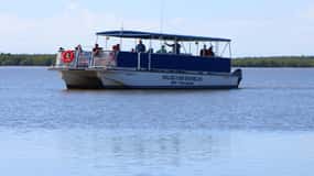From Miami: Everglades Tour w/90 minute boat trip & 3 Hikes!