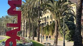 Mallorca: individuellt guidade vandringsturer, stad, kust, mandelblomma