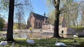 Bruges: highlights & hidden gems - private tour 2 hours