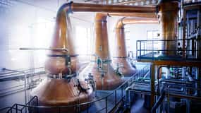 Segovia: Guidad tur på DYC Distillery med whiskyprovning