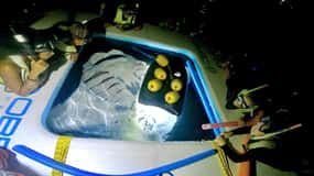Kailua-Kona: Snorkeling alle mante con cioccolata calda