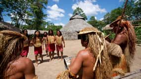 Iquitos | Tour dell'Amazzonia | 4D/3N nella giungla della foresta amazzonica