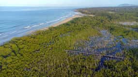 Privat Avellanas Wildlife Walk