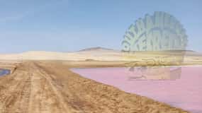 Paracas:Passeios Privados Reserva Nacional de Paracas tudo incluído