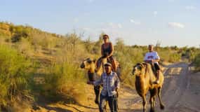 From Bukhara: 2-Day Desert Yurt Camp Tour