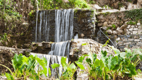 Fuori strada: Cascata, Lago Kournas, Gole, Palme di Preveli