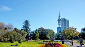Excursão a pé pelo melhor de Auckland