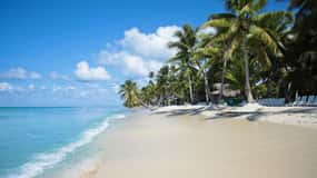 Vivi l'isola di saona da punta cana