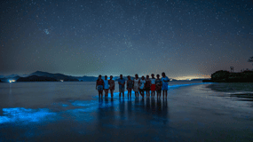 Bioluminescence Tour; Speedboat, Camping (From San José)
