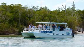 Calm Bay/Coastal Fishing
