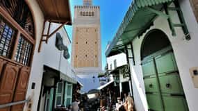 Pješačka tura po Medini