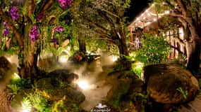 Chiang Mai: Tur med hvide, blå og røde templer med Lalitta Cafe