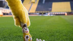 SIGNAL IDUNA PARK: Passeio de Páscoa do BVB 2025