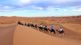 Merzouga: 1 nat i ørkenlejr med middag og kameltur