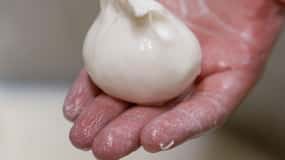 Puglia: Masseria Seppunisi Tour, Cheese, Burrata Tasting