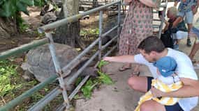 Seychelles : Visite des lieux emblématiques de l'île
