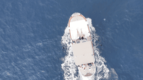 Sorrente : Capri et la Grotte Bleue en bateau avec plongée en apnée
