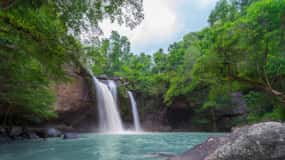Haiku: Tour delle cascate, della foresta pluviale e del cioccolato artigianale