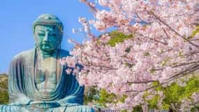 From Tokyo: Kamakura, Hachimangu, Enoshima Private Day Trip.