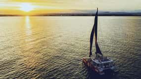 La Grande Motte: Camargue Sunset Catamaran Tour with a Drink