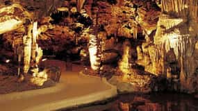 Willemstad: Excursão de meio dia à gruta do Hato, ao Flamingo e à praia
