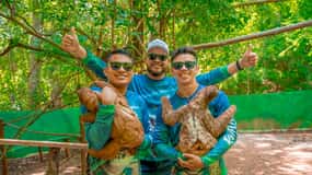 Monkeys & Sloths and Beach Break -Roatan Shore Excursion