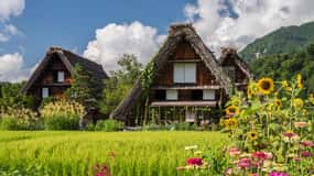 Nagoya: Shirakawa-go, Gujo, Hida Takayama Historic Day Tour