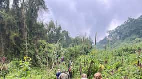 From Kigali: Bisoke Summit Trek, Crater Lake 1 Day Safari