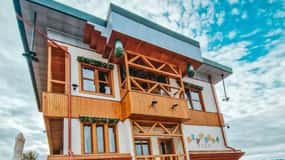 From Sibiu: Brukenthal Palace & The Upside-down House Avrig