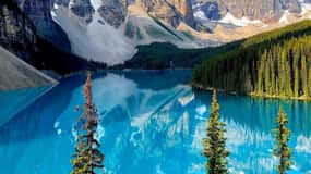 Banff: Lake Louise, Moraine, Emerald Lake & Johnston Canyon