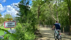 Alquiler de bicicletas eléctricas