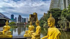 Form Negombo:Morning or Evening Colombo City Tour by Tuk-Tuk