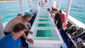 Medulin : tour en bateau en verre à Kamenjak