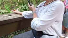 Panama City: Soberania National Park Hiking Tour