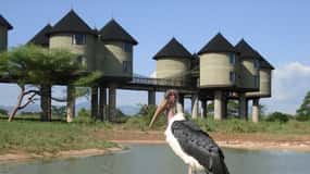 3 days 2 nights saltlick safari from diani/mombasa
