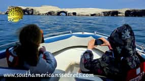 Depuis Paracas : Circuit des îles Ballestas en formule tout compris