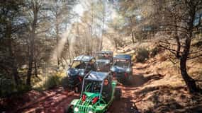 Benidorm: Buggy Jungle or Algar Waterfalls Tour
