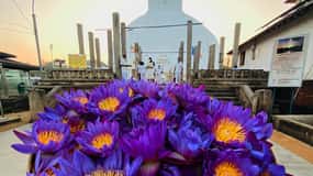 Sri Lanka Templo antigo, vida selvagem, comboio das montanhas