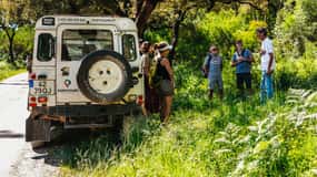 Algarve: Jeep Safari with Distillery Visit & Lunch